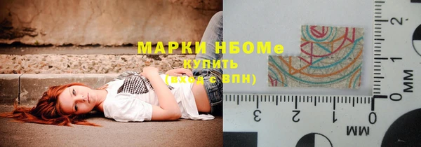 прущий лед Алзамай