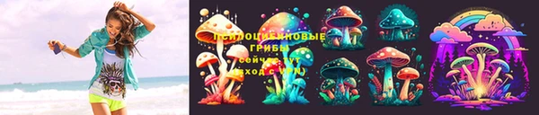 кокс Алексин
