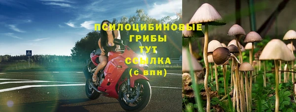 прущий лед Алзамай
