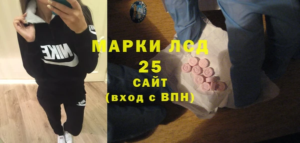 прущий лед Алзамай