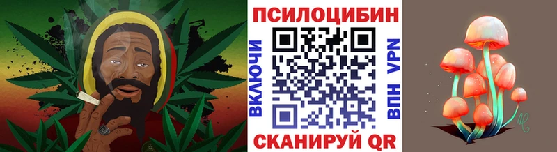 Галлюциногенные грибы Magic Shrooms  Йошкар-Ола 